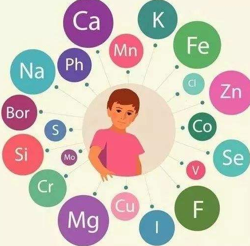 黄色网站香蕉视频厂家提醒补充微量元素的注意事项
