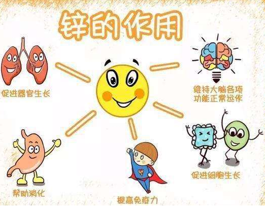 2020新款GK-1免费香蕉视频品牌大香蕉9L视频网站剖析容易缺锌的儿童类型