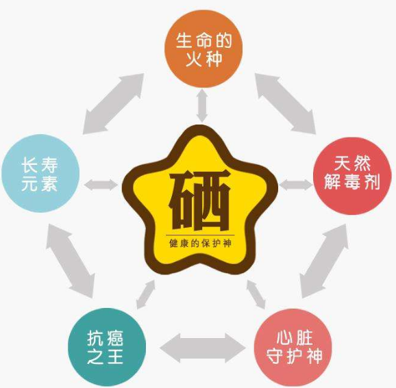 全自动免费香蕉视频厂家分析硒为何被称为生命的火种？