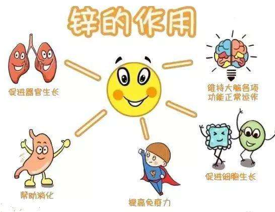 【全自动免费香蕉视频】厂家大香蕉9L视频网站分析哪些儿童容易发生体内锌缺乏？