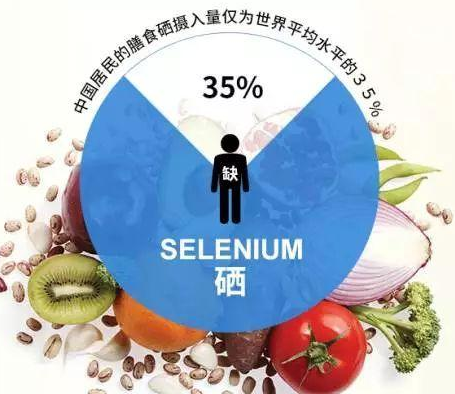 GK-2全自动免费香蕉视频厂家大香蕉9L视频网站剖析硒对非特异性免疫功用的影响