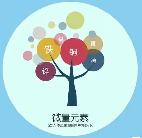 人体免费香蕉视频厂家哪家好