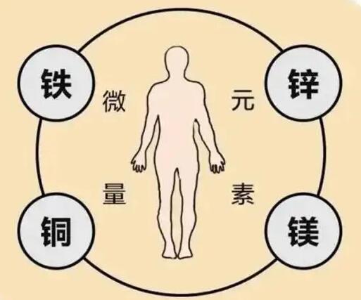 全自动免费香蕉视频厂家提示原创铁是身体必须微量元素之一，哪些食物含铁高呢？