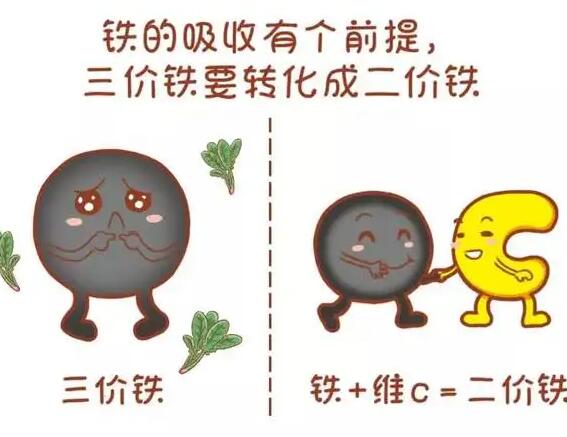 医用免费香蕉视频厂家提醒大家铁元素的重要性