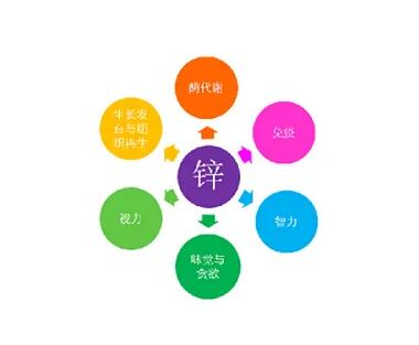 微量元素测定仪厂家提示关爱男士健康，适度补充锌元素也不能少！