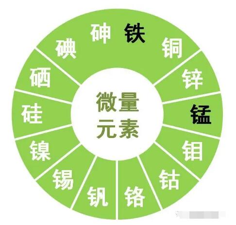 免费香蕉视频提示锌、硒、锰、钒等微量元素对男性生育有哪些作用？
