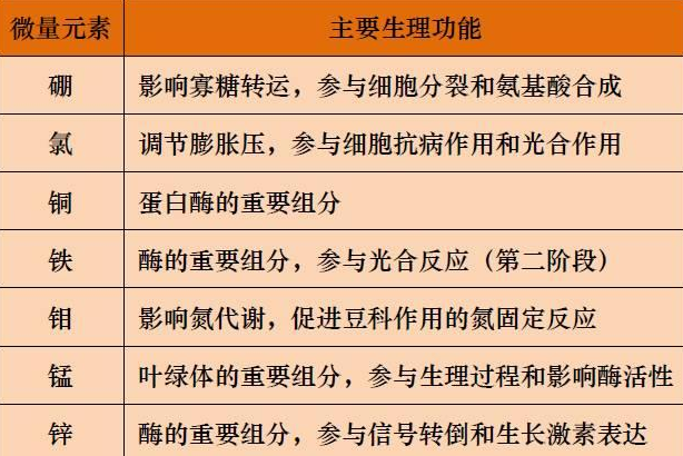山东聊城全自动血铅检测仪一体机：微量元素的主要作用8.20